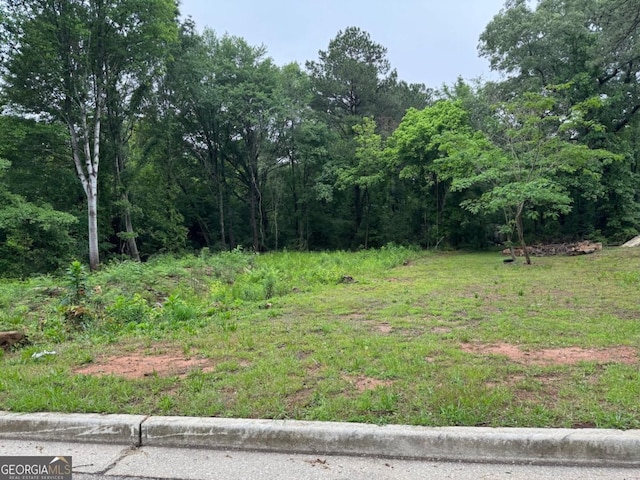 0 Old Toney Rd, Ellenwood, GA 30294