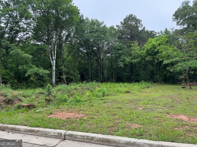 0 Old Toney Rd, Ellenwood, GA 30294