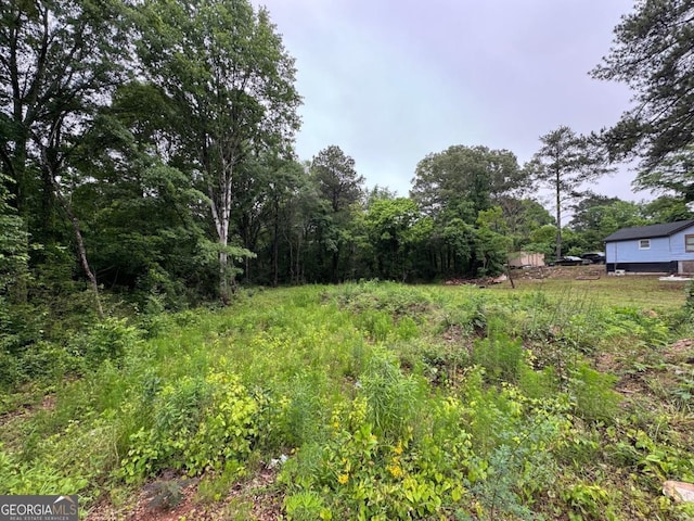 0 Old Toney Rd, Ellenwood, GA 30294