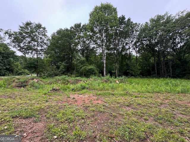 0 Old Toney Rd, Ellenwood, GA 30294