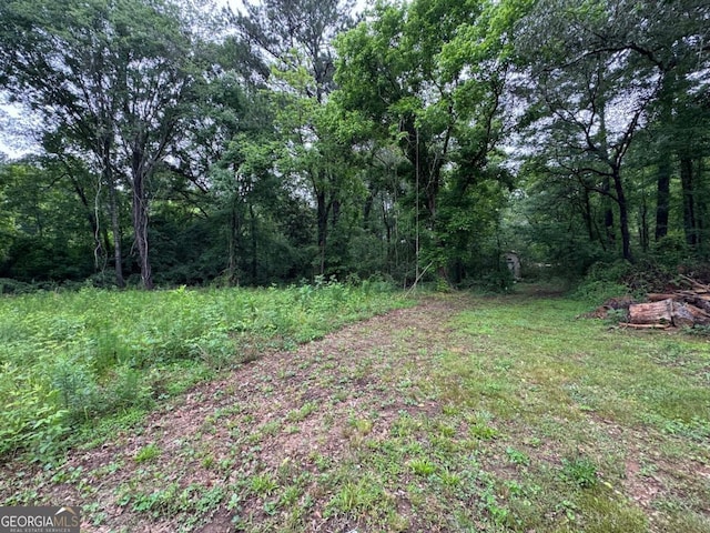 0 Old Toney Rd, Ellenwood, GA 30294