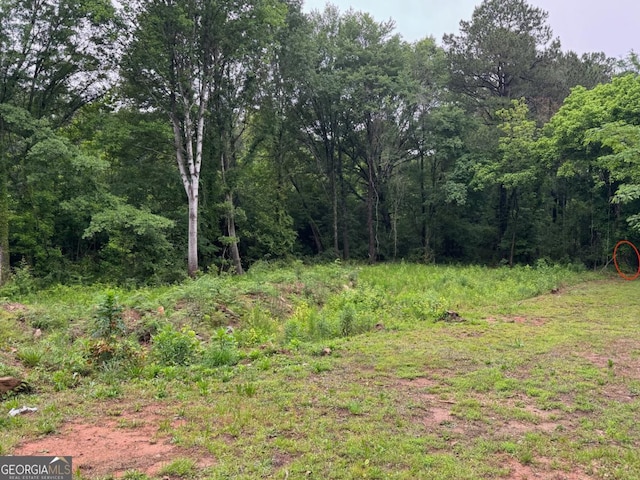0 Old Toney Rd, Ellenwood, GA 30294