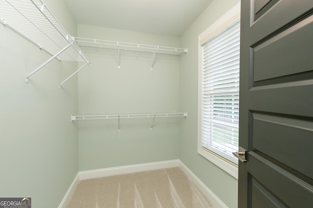 1050 Forrest Highlands, Greensboro, GA 30642 - walk in closet with light carpet