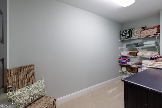 1050 Forrest Highlands, Greensboro, GA 30642 - view of storage