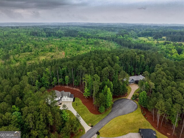 1050 Forrest Highlands, Greensboro, GA 30642 - bird's eye view of a forest