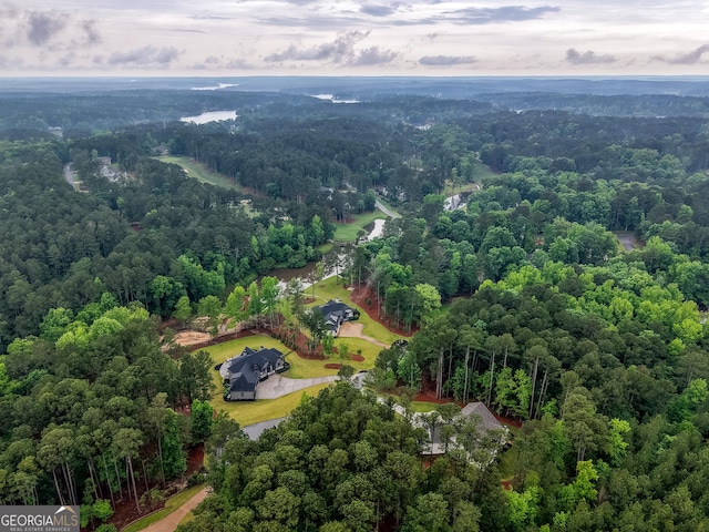 1050 Forrest Highlands, Greensboro, GA 30642 - bird's eye view of a heavily wooded area