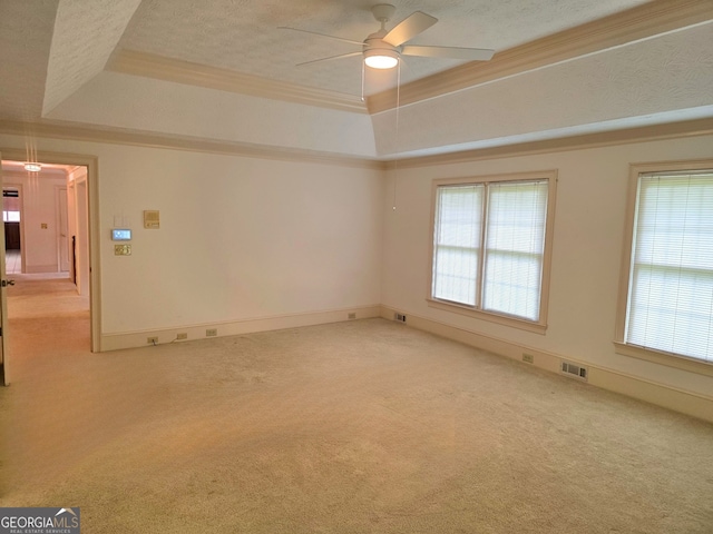 2451 Old Salem Cir SE, Conyers, GA 30013 - unfurnished room featuring a raised ceiling, healthy amount of natural light, light carpet, a textured ceiling, and crown molding