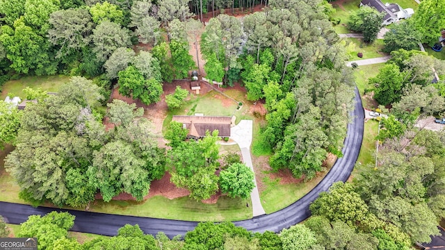 bird's eye view