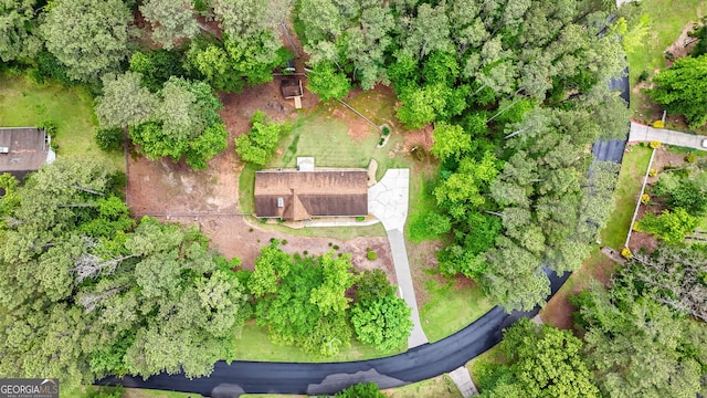 bird's eye view