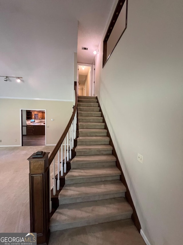 staircase featuring carpet flooring and baseboards