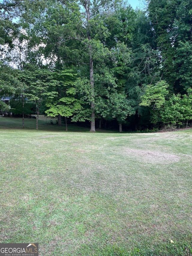 view of grassy yard
