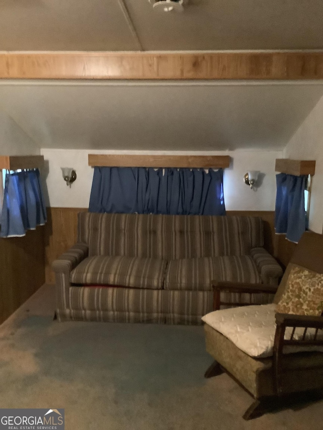 961 Mountain Shadows Dr, Cleveland, GA 30528 - carpeted living area featuring wooden walls