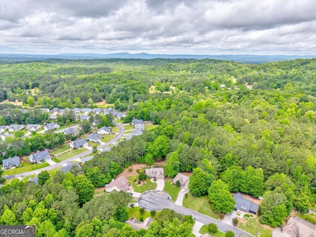bird's eye view of a forest