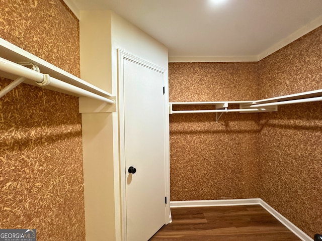 3340 Zingara Rd, Conyers, GA 30012 - walk in closet with wood finished floors