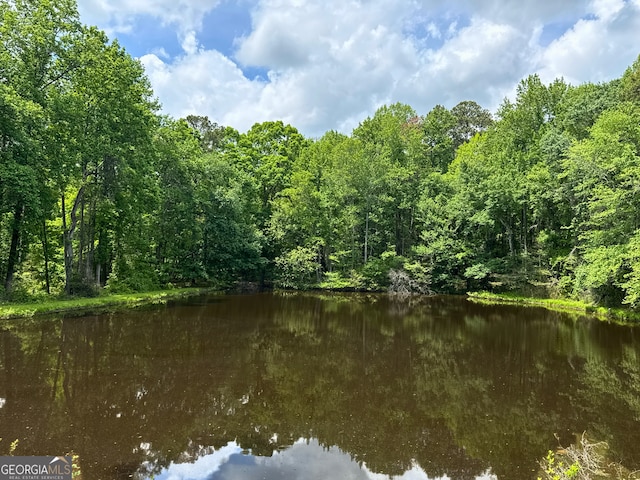 3340 Zingara Rd, Conyers, GA 30012 - water view with a forest