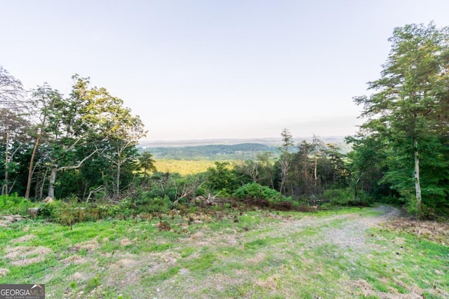 2400 Shinbone Ridge Rd, Lafayette, GA 30728