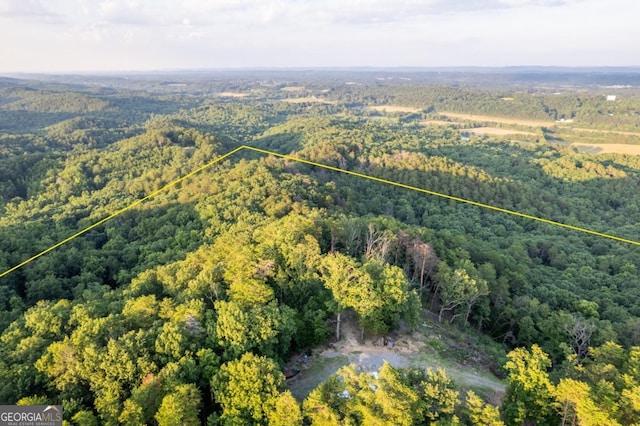 2400 Shinbone Ridge Rd, Lafayette, GA 30728