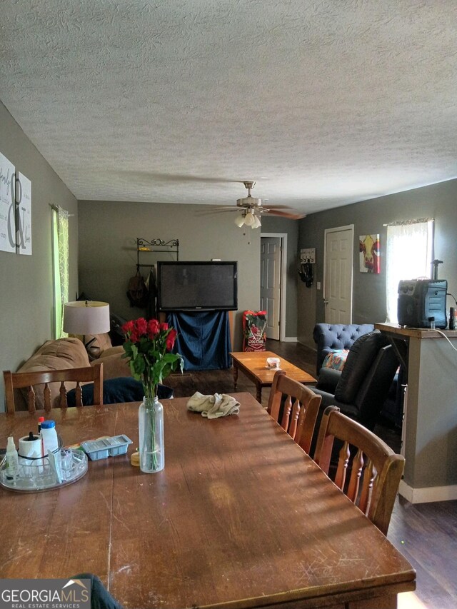 67 Glenloch Rd, Roopville, GA 30170 - dining space with a textured ceiling, wood finished floors, and a ceiling fan
