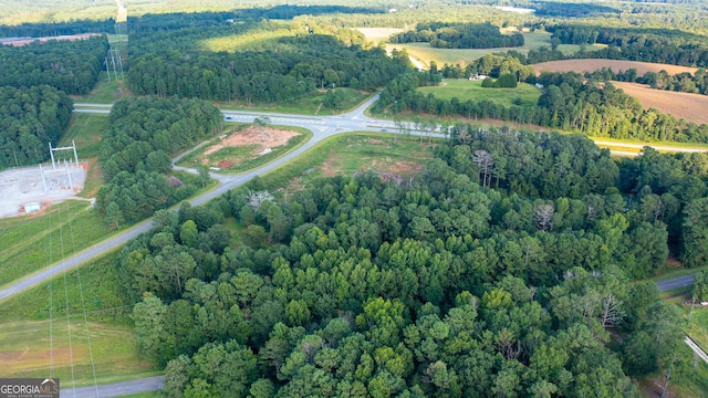 67 Glenloch Rd, Roopville, GA 30170 - view of rural area with a heavily wooded area