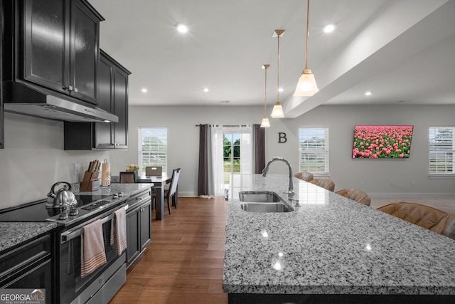 838 Maduro Way, Mcdonough, GA 30253 - kitchen featuring stainless steel electric range, a sink, under cabinet range hood, baseboards, and dark wood-type flooring