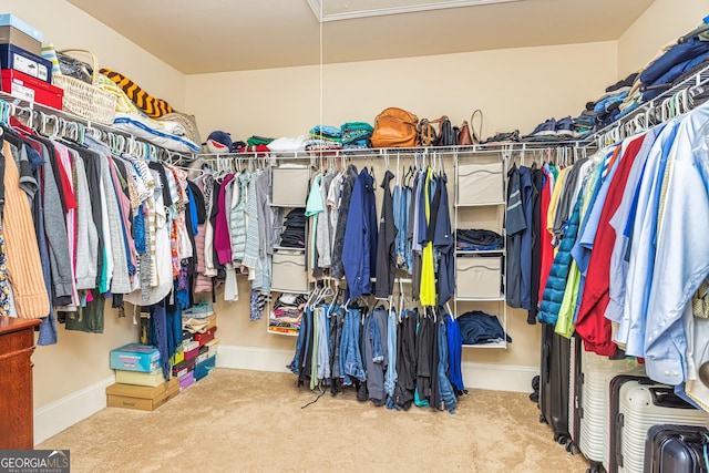 139 Village Park Dr, Newnan, GA 30265 - walk in closet featuring carpet floors and attic access