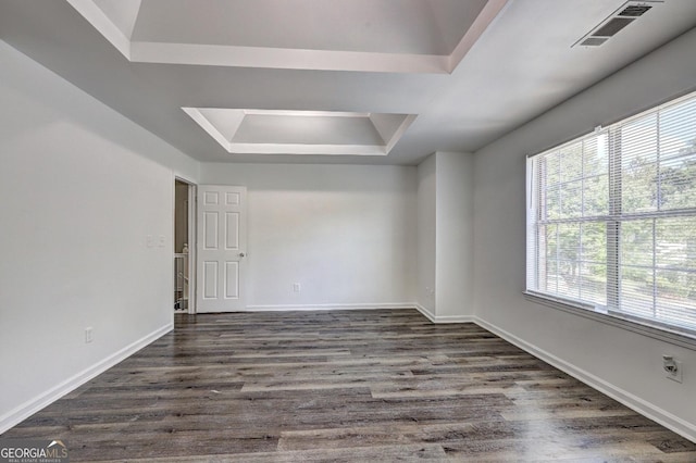 unfurnished room with a tray ceiling, plenty of natural light, and dark wood-type flooring