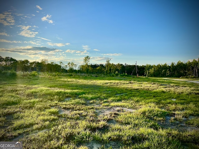 1305 Bennett Colter Rd, Cadwell, GA 31009