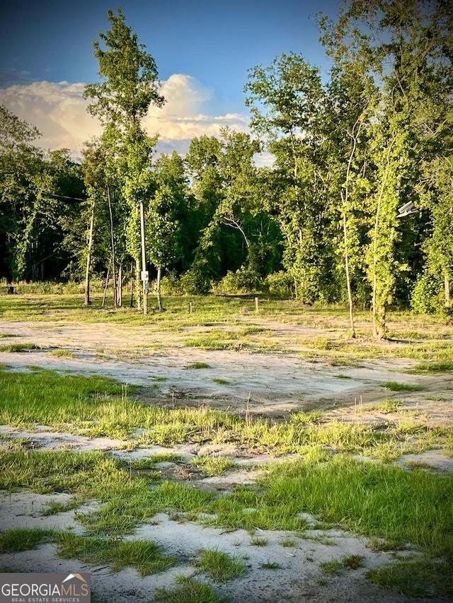 1305 Bennett Colter Rd, Cadwell, GA 31009