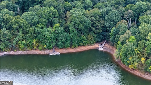 aerial view of property's location with a nearby body of water and a forest