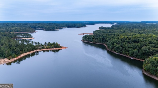bird's eye view of a large body of water and a heavily wooded area