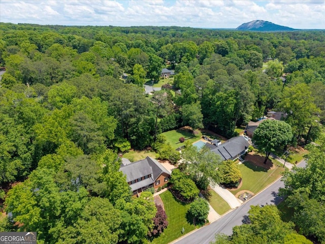 aerial view of a forest