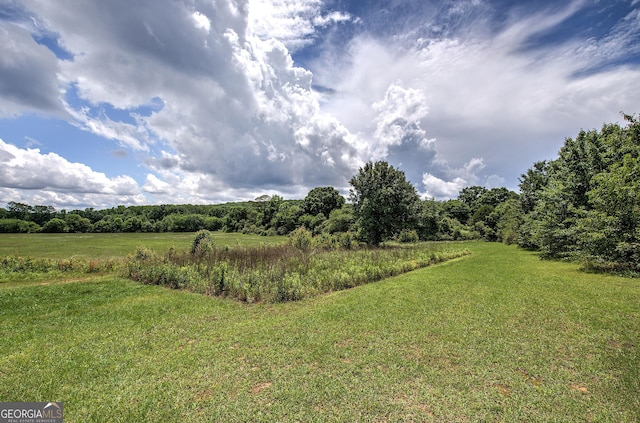 0 Rome Hwy, Ga, Cedartown, GA 30125