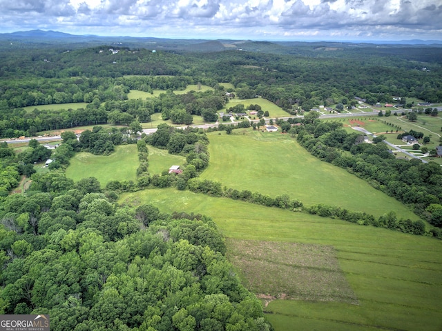 0 Rome Hwy, Ga, Cedartown, GA 30125