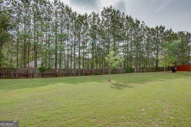 view of yard