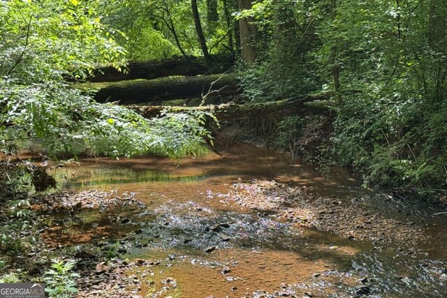 355 Clark Creek Pass, Acworth, GA 30102 - view of yard