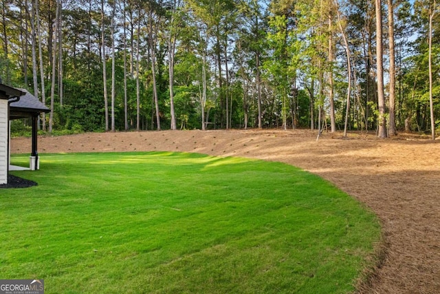 400 Auburn Rd, Auburn, GA 30011 - view of green lawn