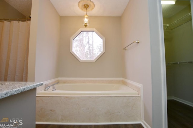 bathroom with a bath, a spacious closet, vanity, and wood finished floors