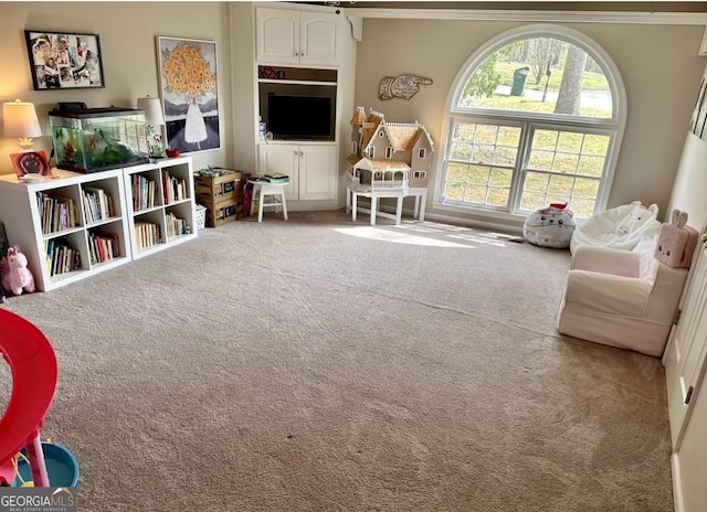 recreation room featuring carpet