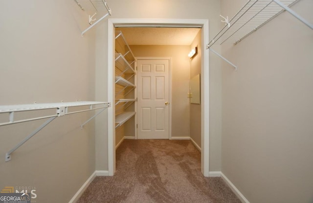 spacious closet with carpet floors