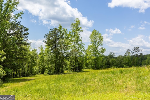 view of tree filled area