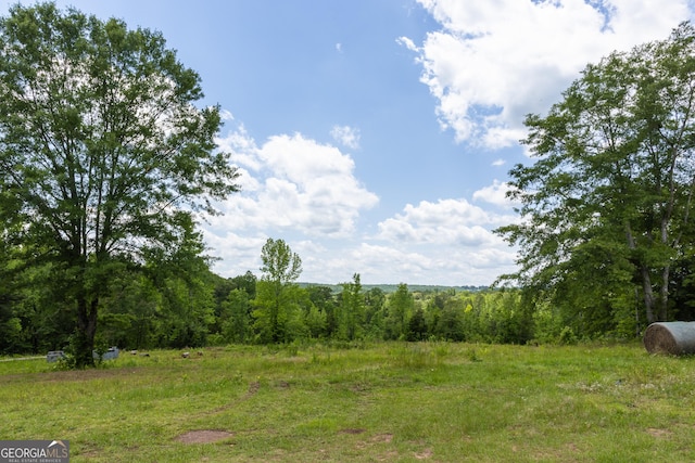 view of woods