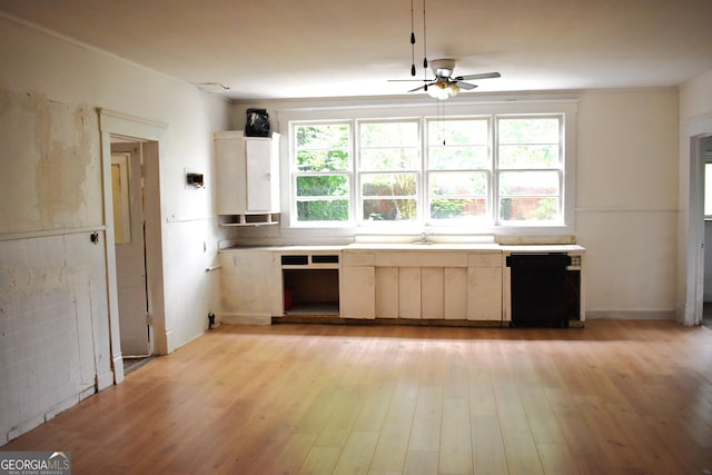 210 E Church St, Sandersville, GA 31082 - kitchen featuring a ceiling fan, plenty of natural light, dishwasher, and light wood-style flooring