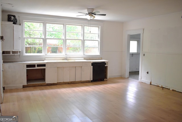 210 E Church St, Sandersville, GA 31082 - kitchen with dishwasher, ceiling fan, and plenty of natural light