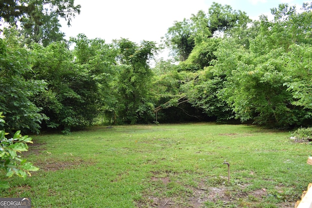 210 E Church St, Sandersville, GA 31082 - view of green lawn