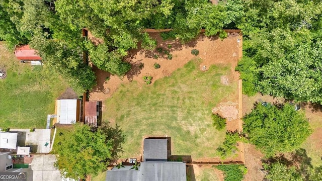 bird's eye view