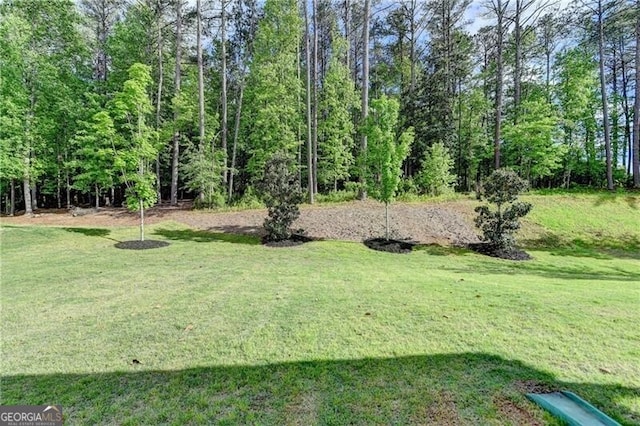 view of grassy yard