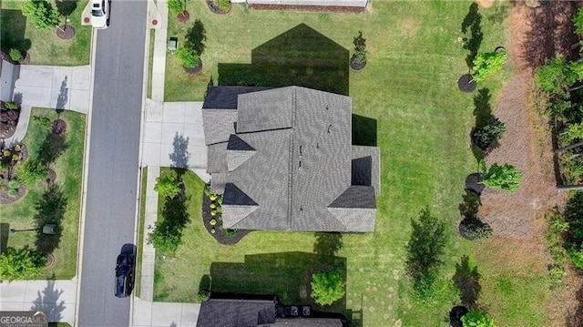 bird's eye view