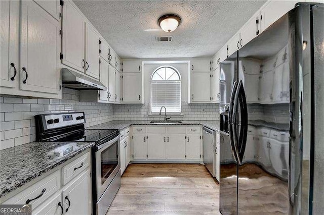 kitchen with stainless steel appliances, under cabinet range hood, a sink, light wood-style flooring, and light stone counters