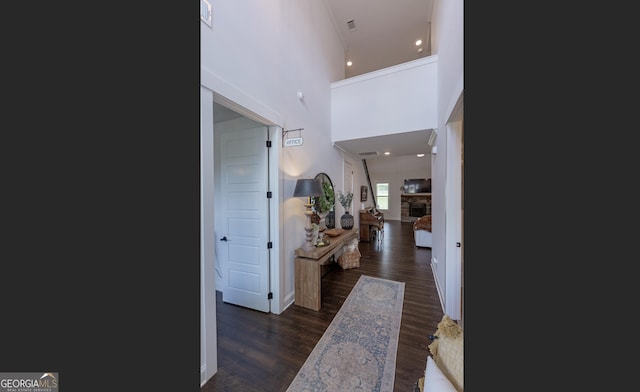 295 Graceton Farms Dr, Senoia, GA 30276 - entryway with wood finished floors, a stone fireplace, a towering ceiling, and baseboards