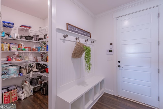 295 Graceton Farms Dr, Senoia, GA 30276 - mudroom featuring dark wood finished floors and crown molding